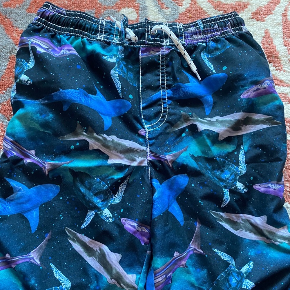 Carter’s swim trunks
